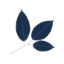 PHYTO