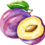 Plummé Beauty