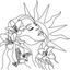 Võluhaldjas